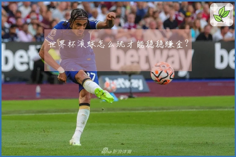 世界杯滚球怎么玩才能稳稳赚金？