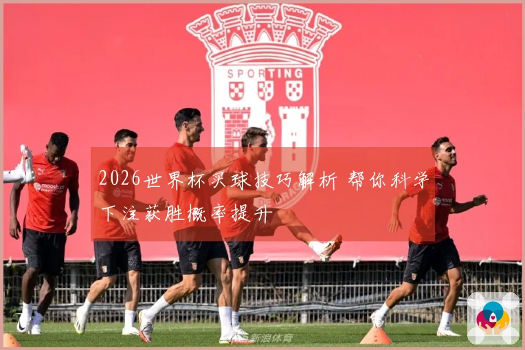 2026世界杯买球技巧解析 帮你科学下注获胜概率提升