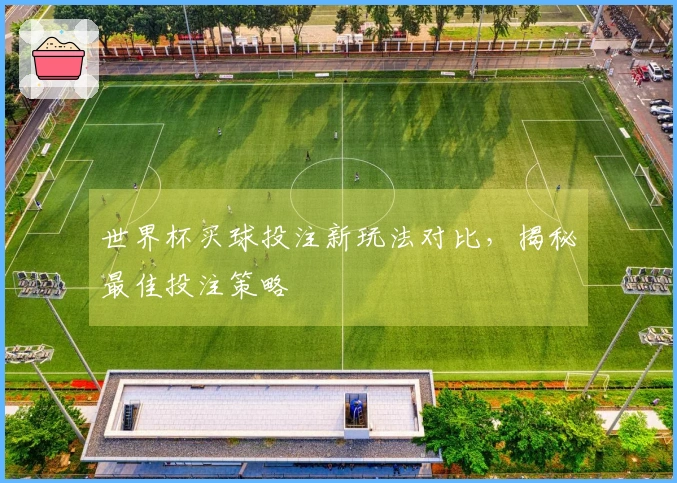 世界杯买球投注新玩法对比，揭秘最佳投注策略