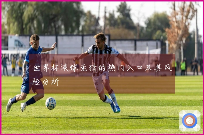 世界杯滚球竞猜的热门入口及其风险分析