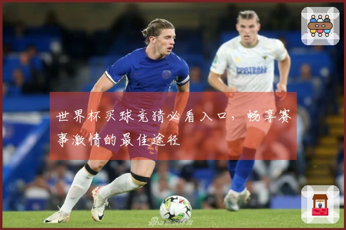世界杯买球竞猜必看入口，畅享赛事激情的最佳途径