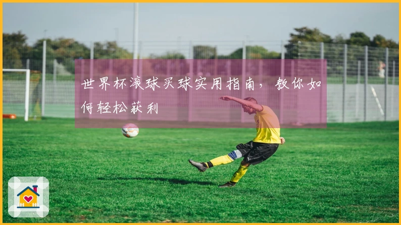 世界杯滚球买球实用指南，教你如何轻松获利