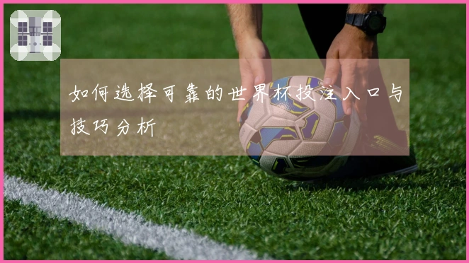 如何选择可靠的世界杯投注入口与技巧分析