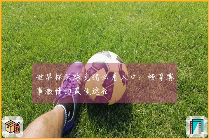 世界杯买球竞猜必看入口，畅享赛事激情的最佳途径