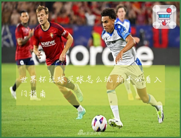 世界杯让球买球怎么玩 新手必看入门指南