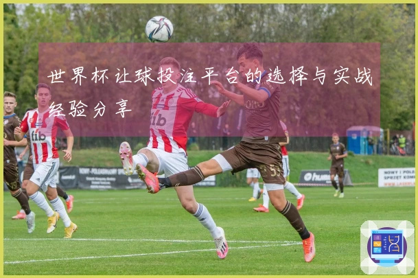 世界杯让球投注平台的选择与实战经验分享